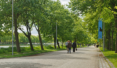 L'allée du Zoo